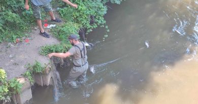 Pytláci pod zámkem v Brandýse nad Labem nastražili síť na ryby