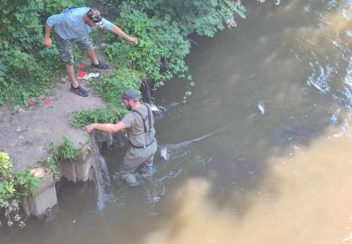 Pytláci pod zámkem v Brandýse nad Labem nastražili síť na ryby
