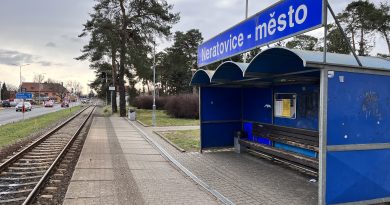 Cizinci vybírali peníze na údajnou sbírku pro postižené. Před kontrolou chtěli ujet v BMW