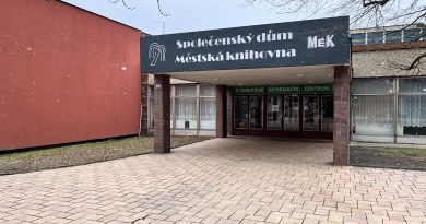 Strážníci z Neratovic zasahovali u hádky. Pak hledali mobil