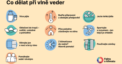 Jak zvládnout tropické teploty: 10 tipů, které pomáhají