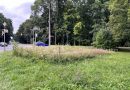 Končí letní seče trávníků i rozhořčené diskuze. Město vyhodnotilo novou firmu
