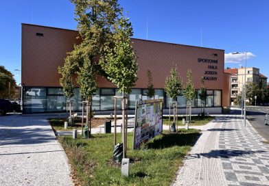Přehled dotací za pět let. Milionové částky dostaly i kluby, kde figurují zastupitelé