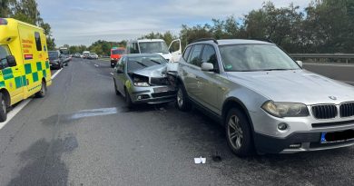 Na dálnici D10 se srazila tři auta. Řidičce utekl kocour 