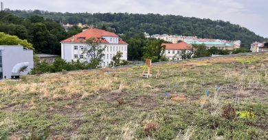 Město chce v územním plánu zelené střechy a popínavky. Může však jít jen o účetní zeleň Město chce v územním plánu zelené střechy a popínavky. Může však jít jen o účetní zeleň