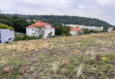 Město chce v územním plánu zelené střechy a popínavky. Může však jít jen o účetní zeleň