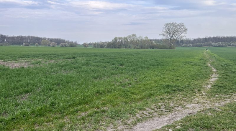 Lidé mohou posílat připomínky k nové čtvrti v Neratovicích. V návrhu je zeleň, silnice i parkování