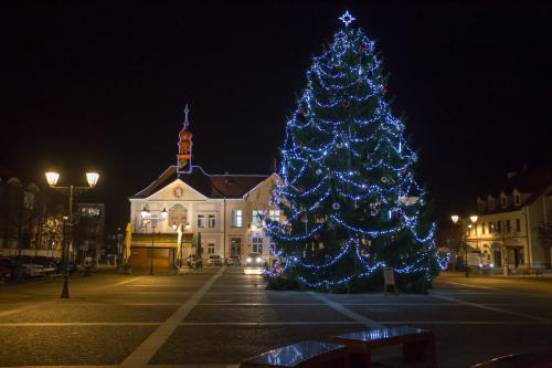Vánoční strom v Brandýse nad Labem
