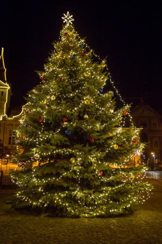 Vánoční strom ve Staré Boleslavi