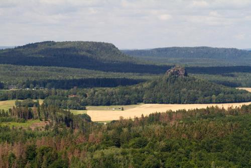 Pohled na lesy od Pravčické brány v roce 2019