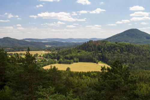 Lesy v Národním parku České Švýcarsko v roce 2019